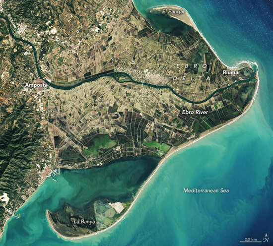 Satellite image of the Ebre River Delta taken in 2021 (NASA)